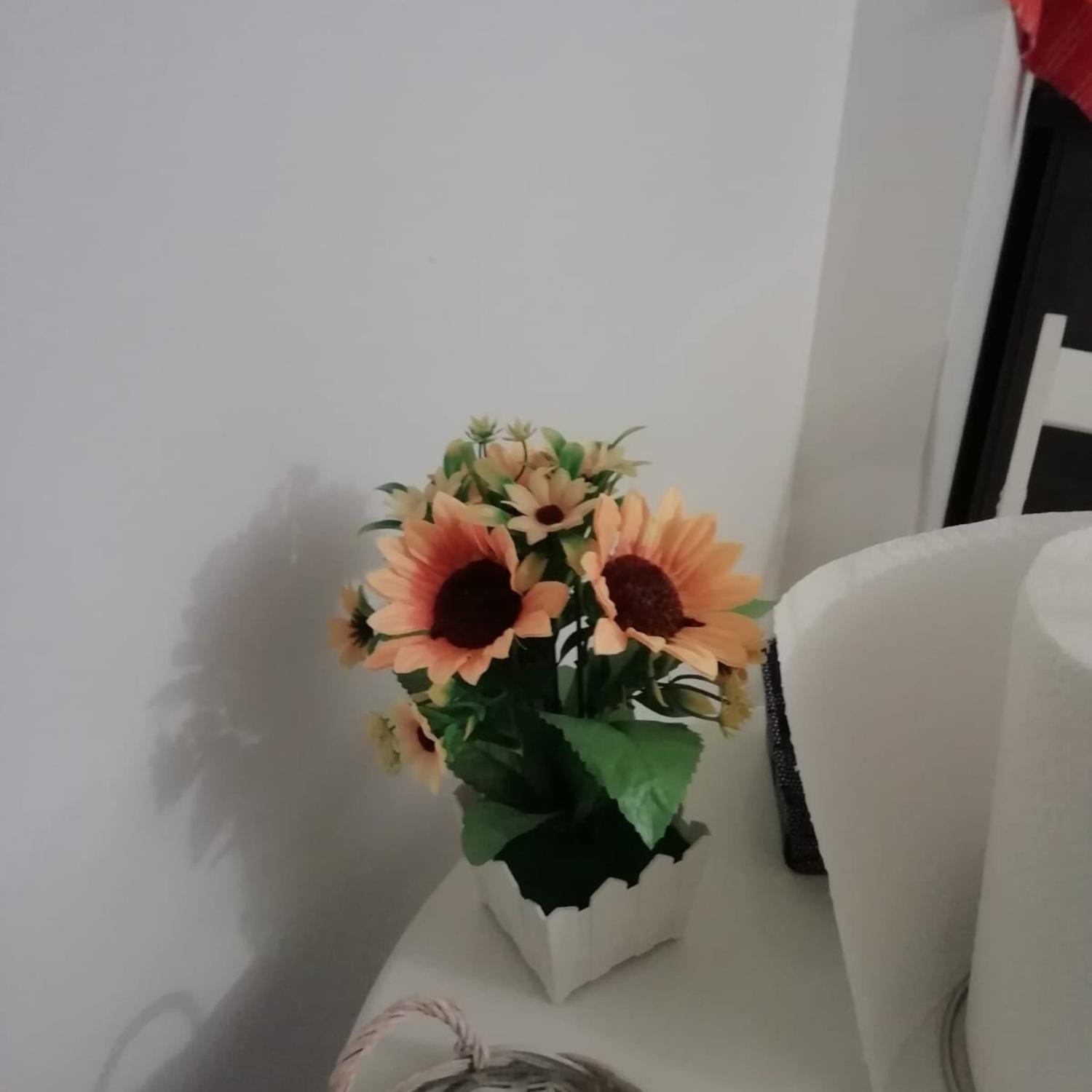 Affection Apartment 볼로냐 외부 사진
